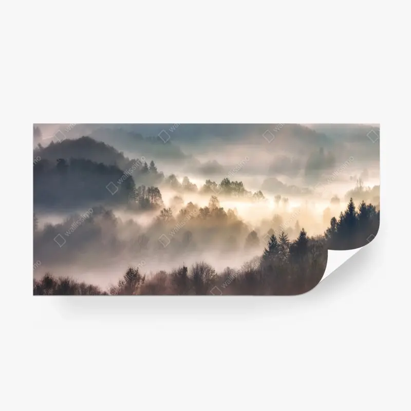 Fototapete nebliger wald im morgengrauen