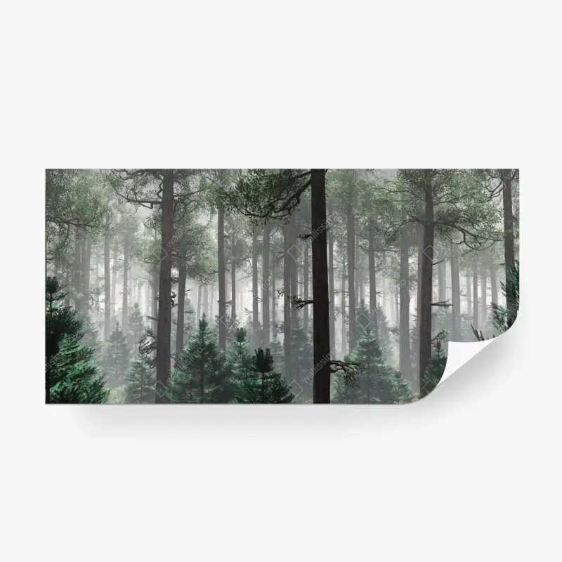Fototapete nebliger immergrüner wald
