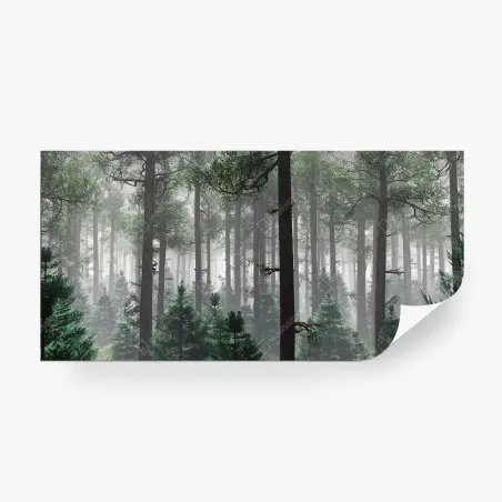 Fototapete nebliger immergrüner wald – Pixers®