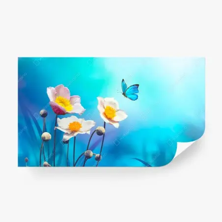 Fototapete zarte rosa anemonen und blauer schmetterling – Pixers®