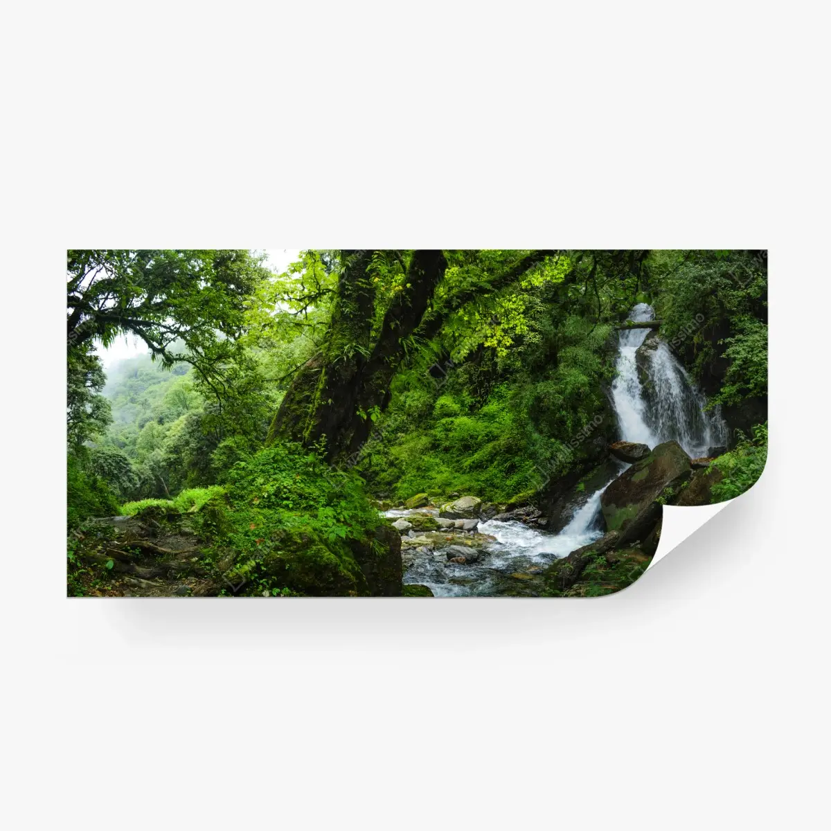 Fototapete üppiger grüner wasserfall im wald – Pixers®