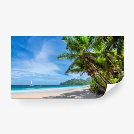 Fototapete tropischer strand mit palmen und segelboot – Pixers®
