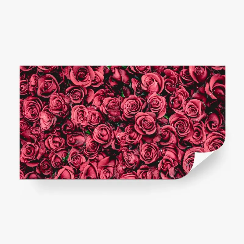 Fototapete pralle rote rosen wandbild