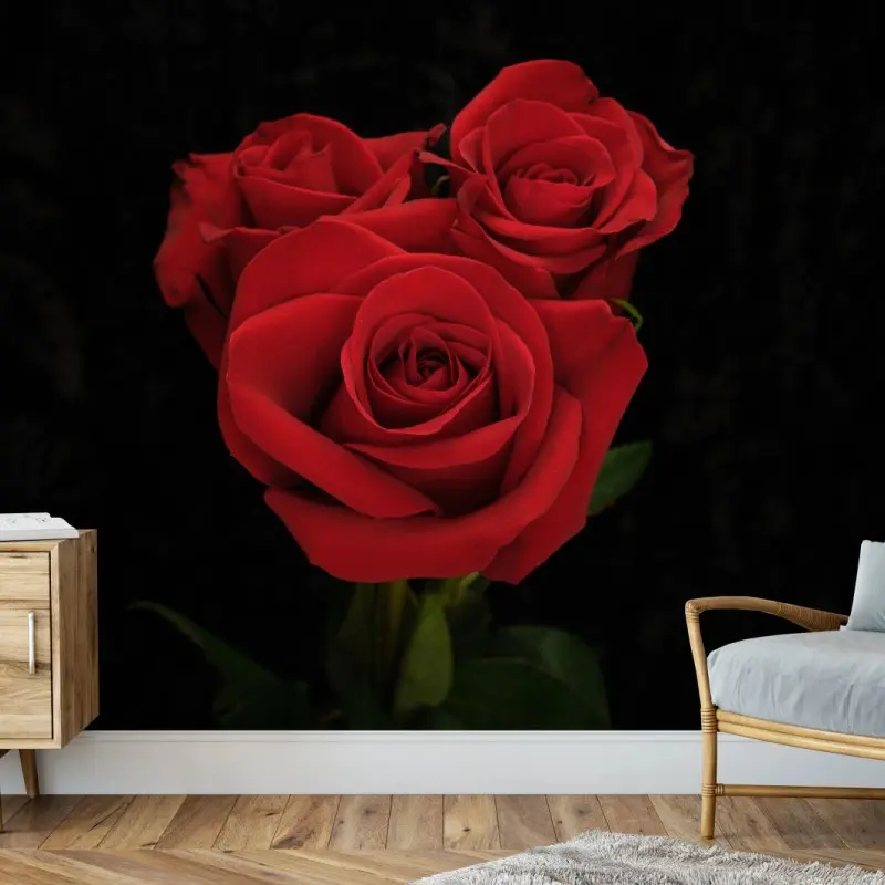 Fototapete rote rosen vor schwarzem hintergrund