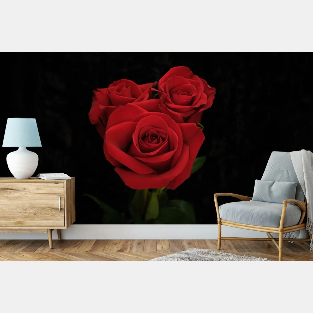 Fototapete rote rosen vor schwarzem hintergrund – Pixers®