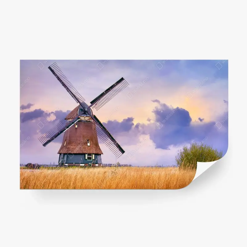 Fototapete historische windmühle auf goldenen feldern