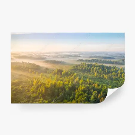 Fototapete nebliger morgen im sumpf von Zvanets – Pixers®