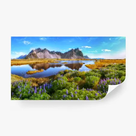 Fototapete lebendige lupinenwiesen bei Vestrahorn, Island – Pixers®
