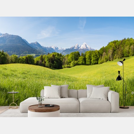 Fototapete ruhiges alpines wiesenpanorama – Pixers®