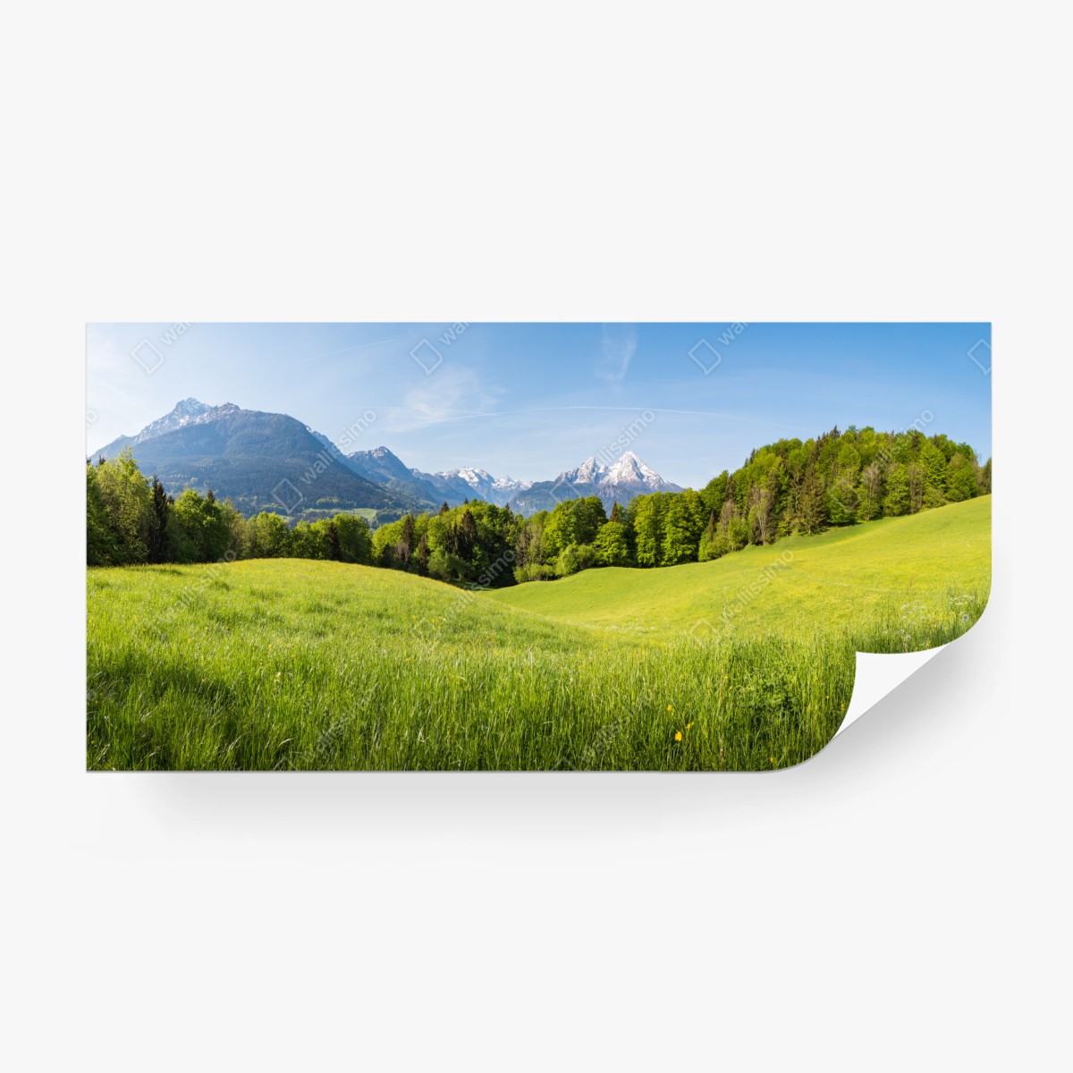 Fototapete ruhiges alpines wiesenpanorama – Pixers®