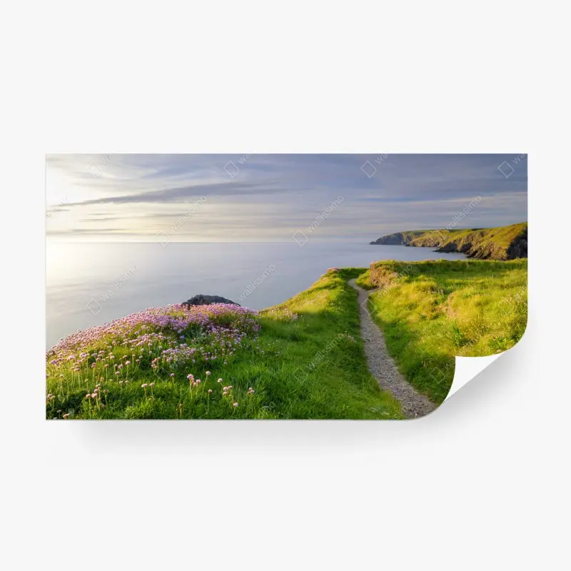 Fototapete Ceibwr Bay küstenpfad bei dämmerung