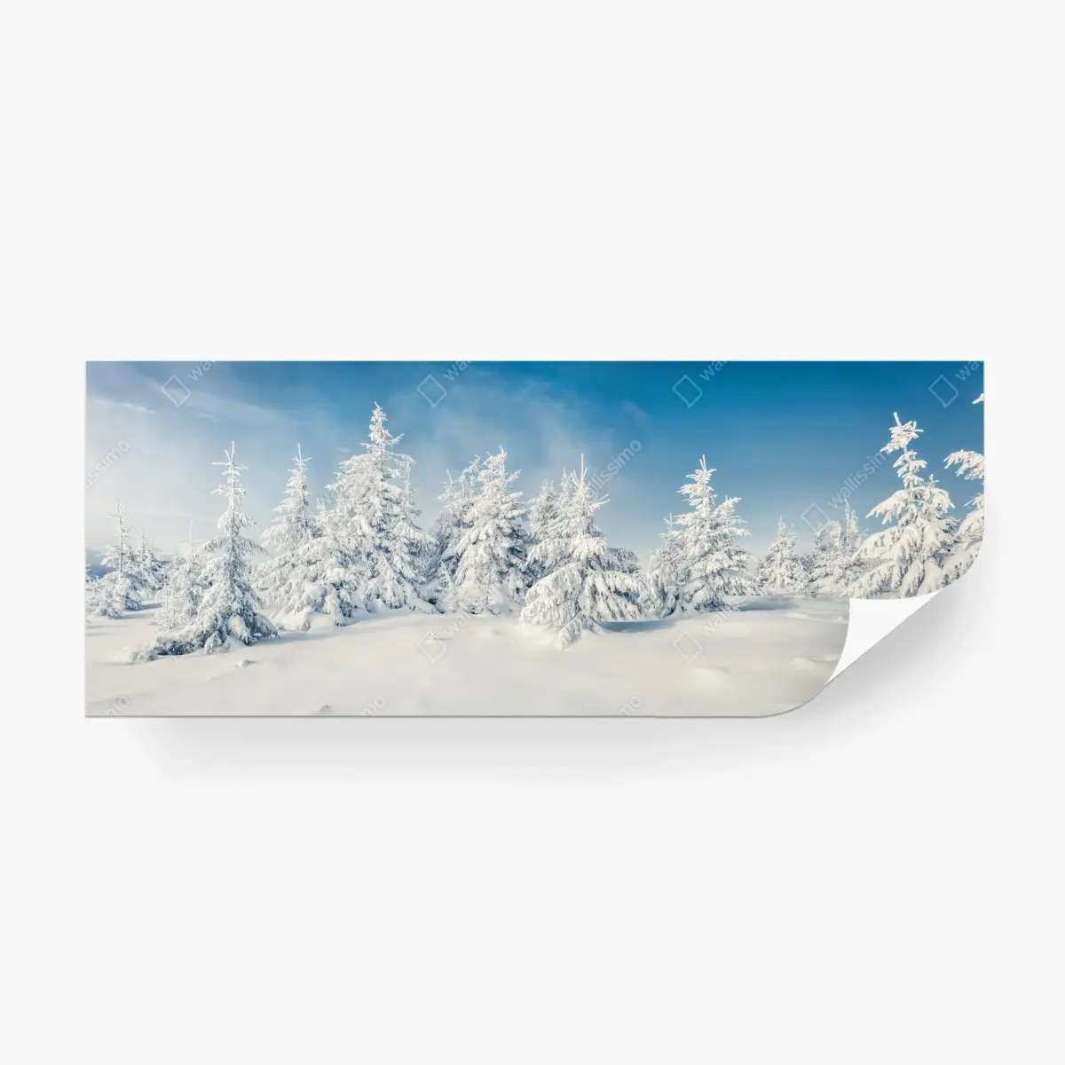 Fototapete panorama verschneiten waldes – Pixers®