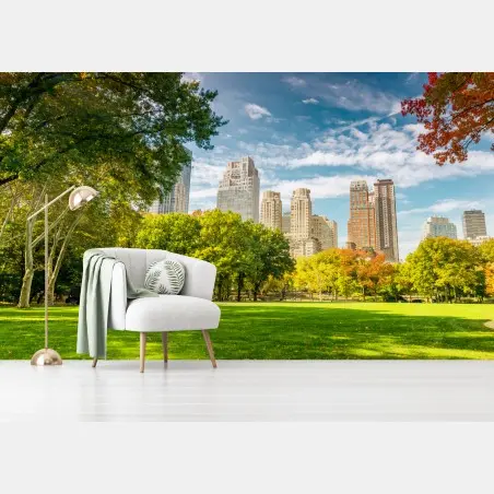 Fototapete Central Park herbst panorama – Pixers®