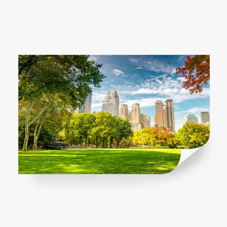 Fototapete Central Park herbst panorama – Pixers®
