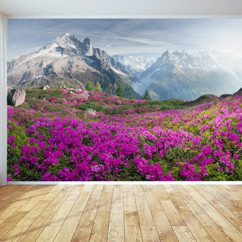 Fototapete alpine rhododendronwiese bei Mont Blanc