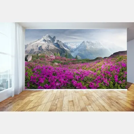 Fototapete alpine rhododendronwiese bei Mont Blanc – Pixers®