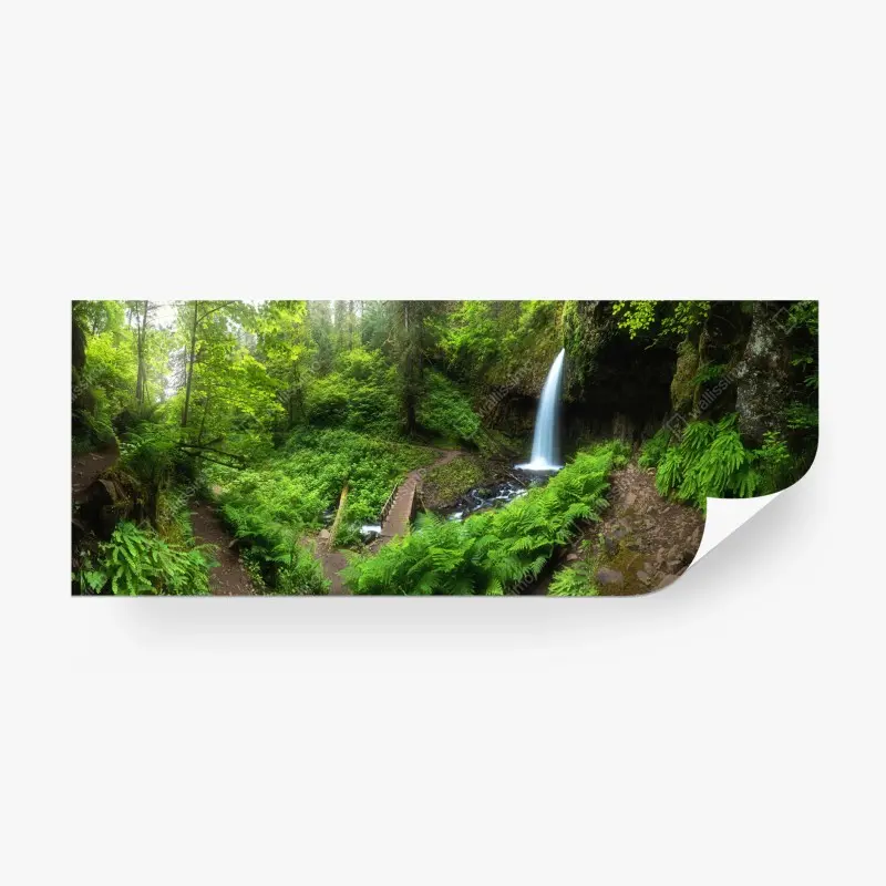Fototapete üppiger waldwasserfall panorama