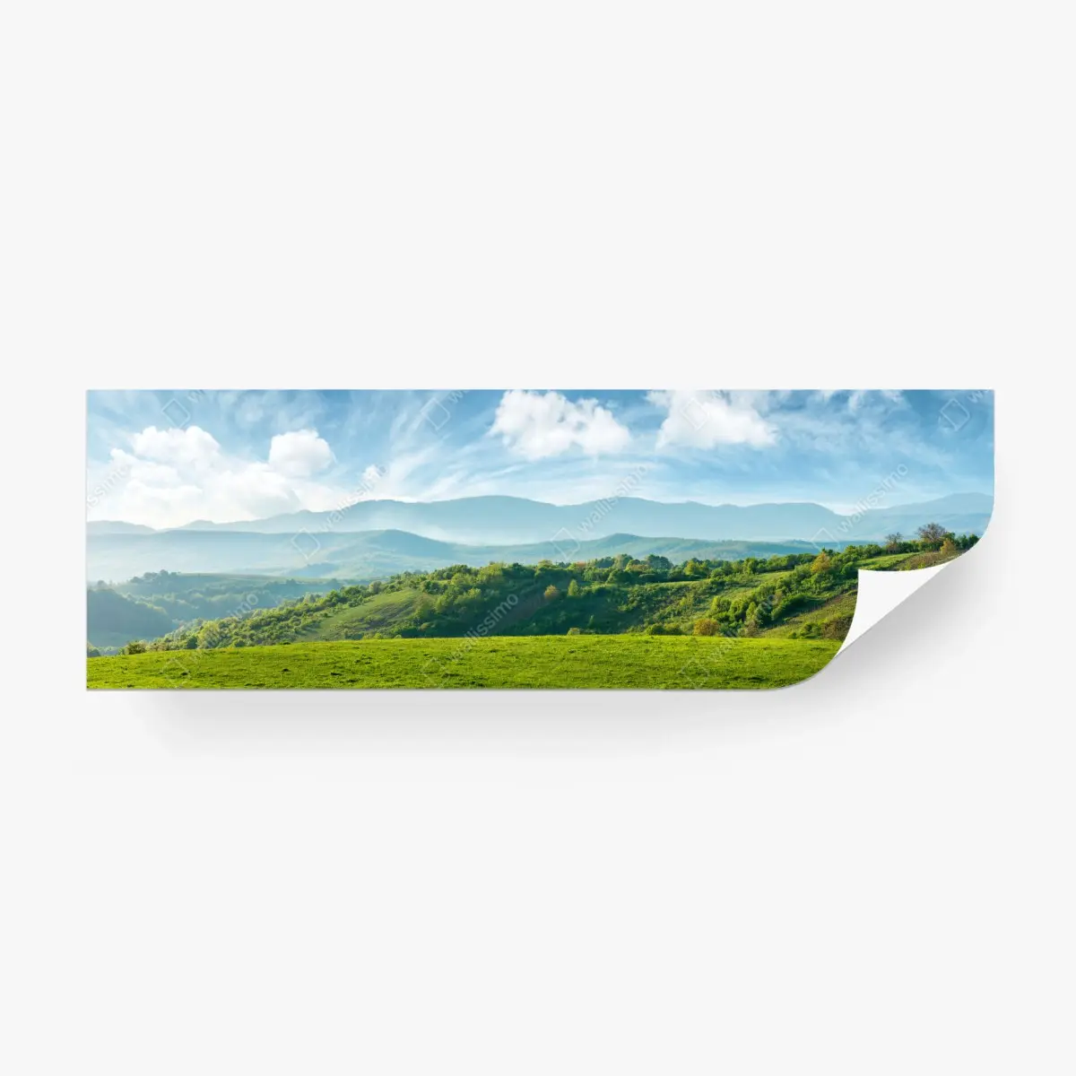 Fototapete frühlingspanorama rumänische berge – Pixers®