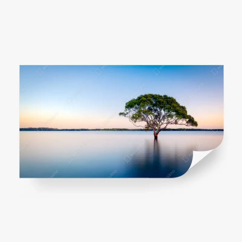 Fototapete einsamer baum am stillen see