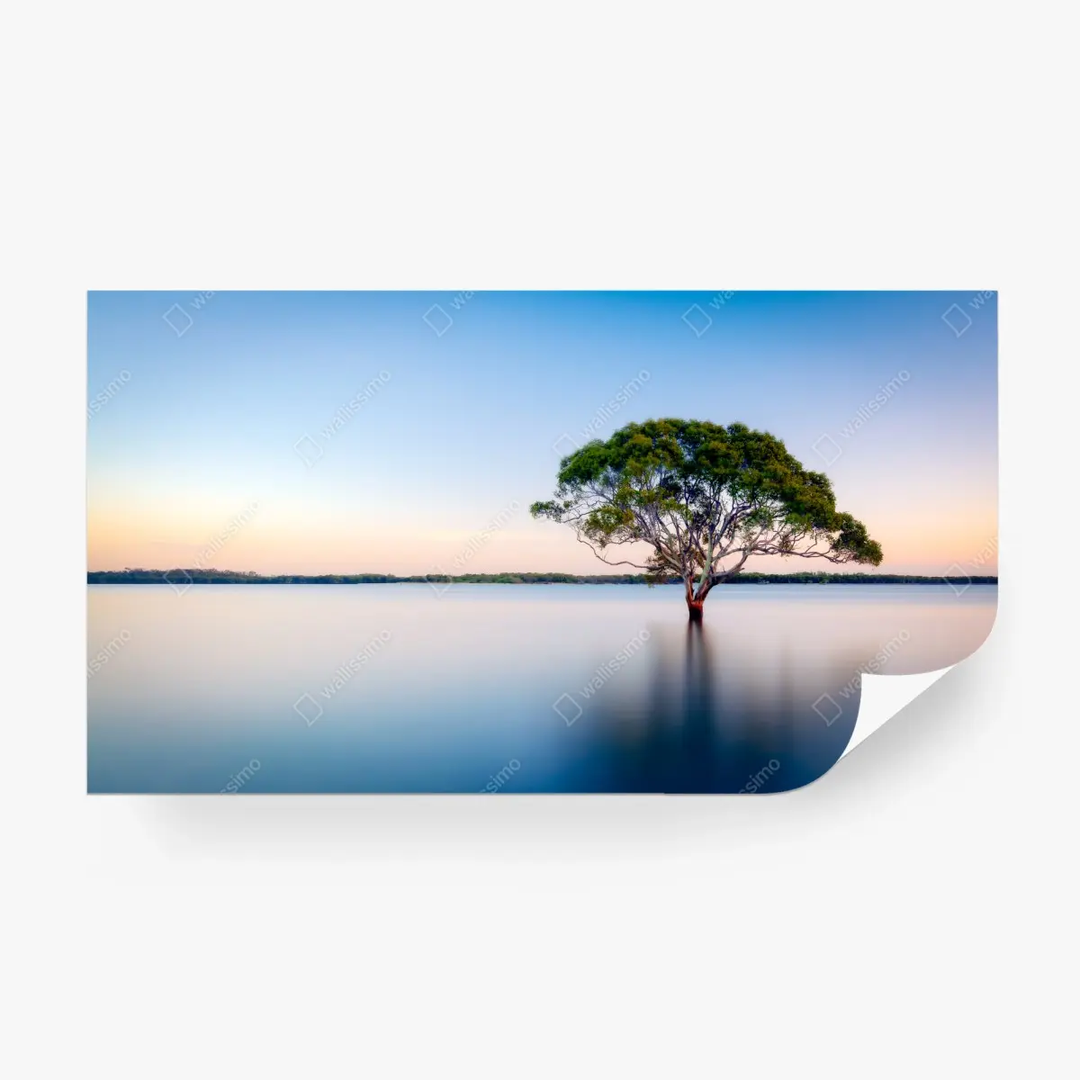 Fototapete einsamer baum am stillen see – Pixers®