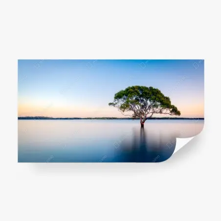 Fototapete einsamer baum am stillen see – Pixers®
