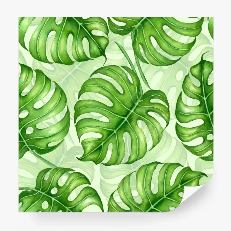 Fototapete aquarell monstera blättermuster