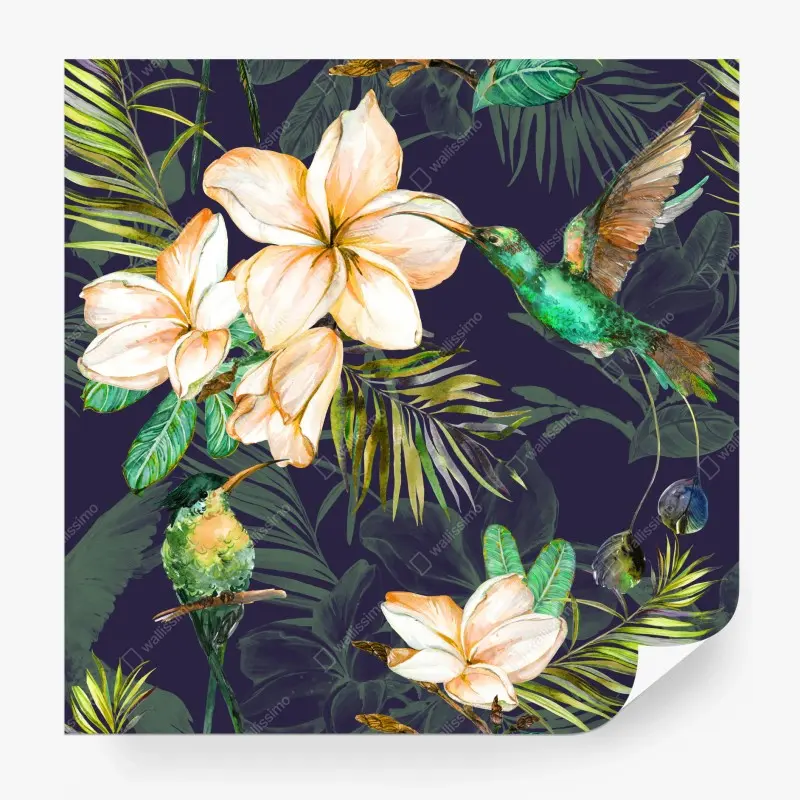 Fototapete tropische kolibris und plumeria in aquarell