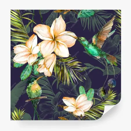 Fototapete tropische kolibris und plumeria in aquarell – Pixers®