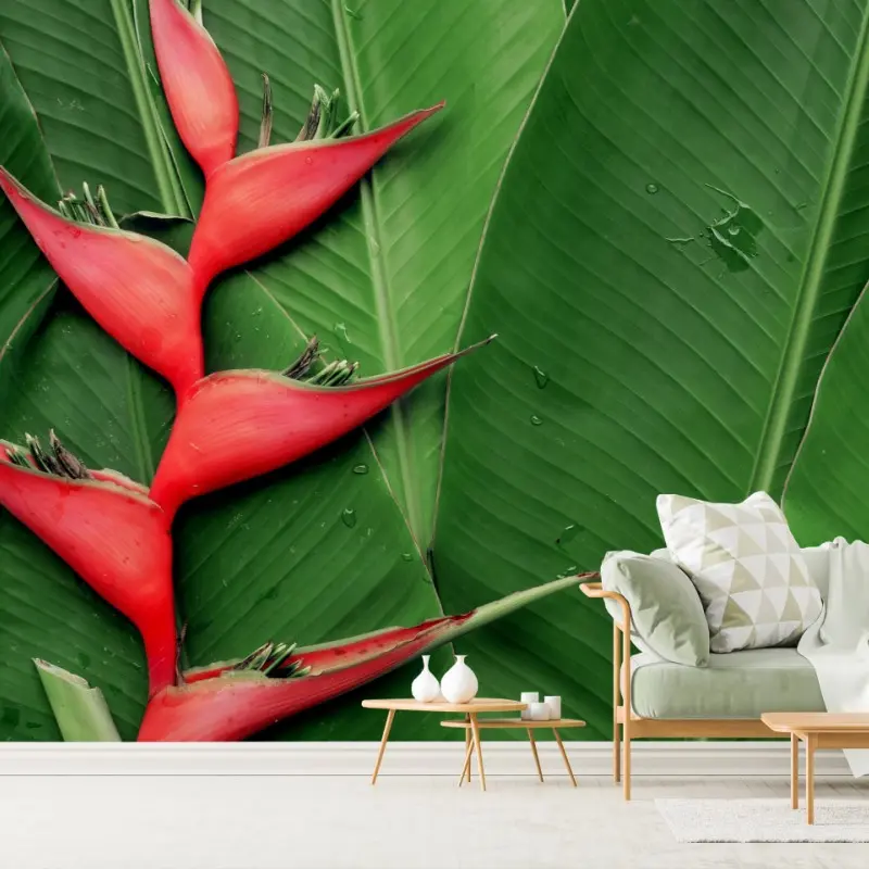 Fototapete leuchtende heliconia auf tropischen blättern