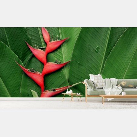 Fototapete leuchtende heliconia auf tropischen blättern – Pixers®