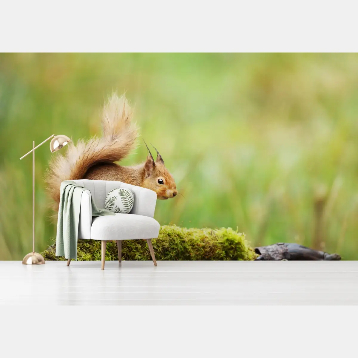 Fototapete rotes eichhörnchen auf moosigem stamm – Pixers®