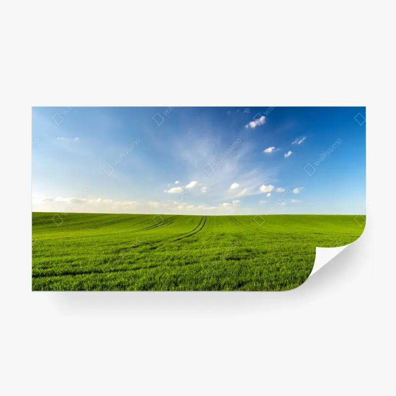 Fototapete frühlingsgrüne wiesenpanorama