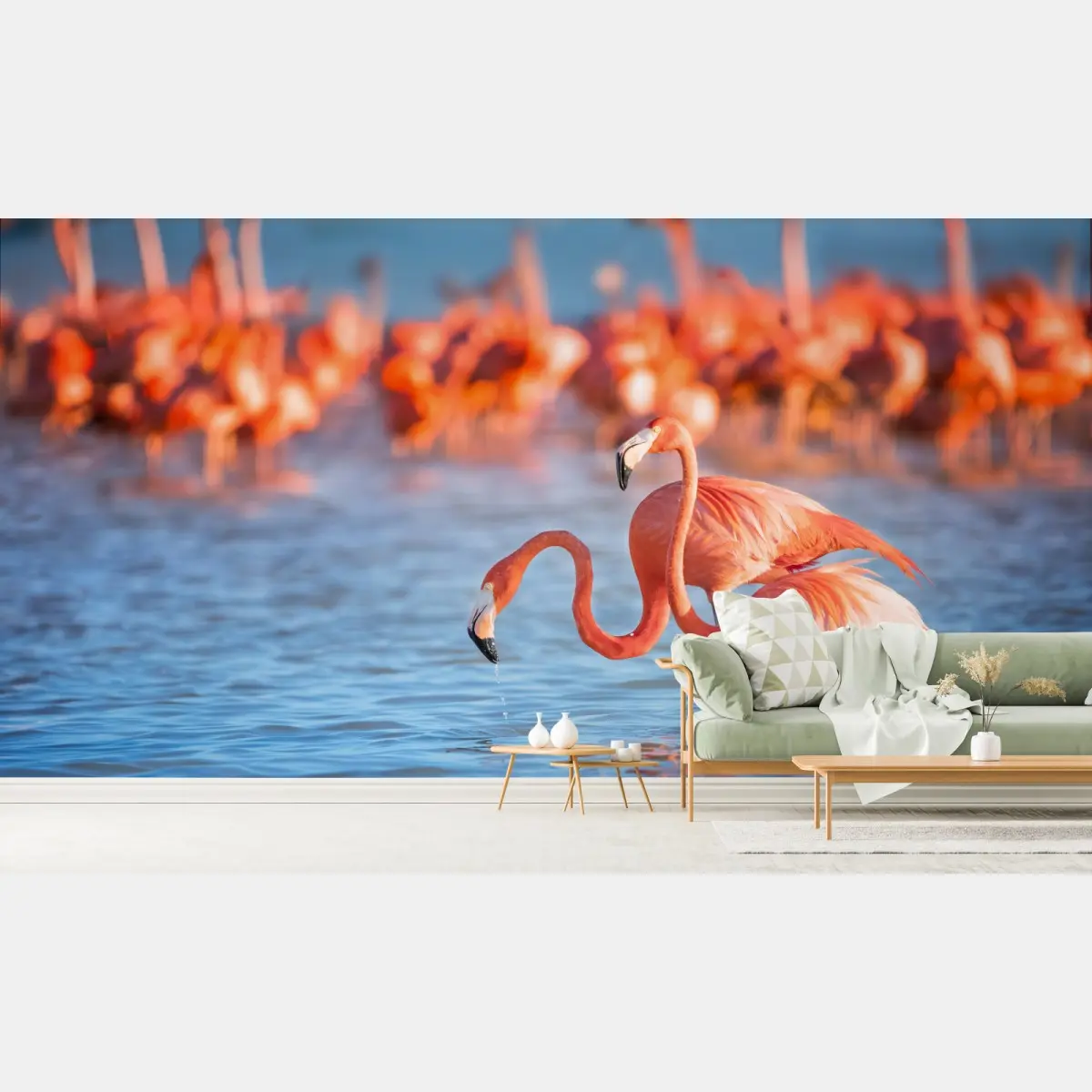 Fototapete anmutige flamingos im flachen wasser – Pixers®