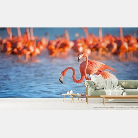 Fototapete anmutige flamingos im flachen wasser – Pixers®