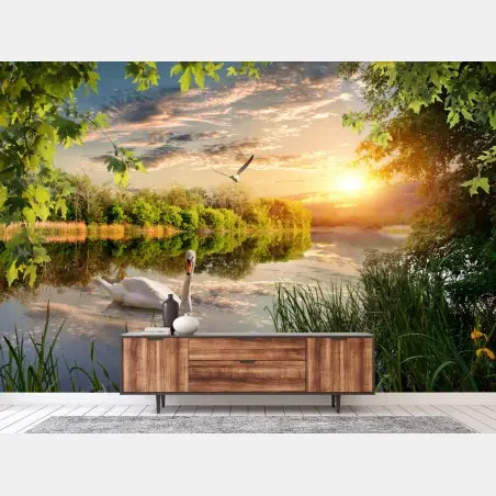 Fototapete sonnenuntergang mit schwan auf stillem see – Pixers®