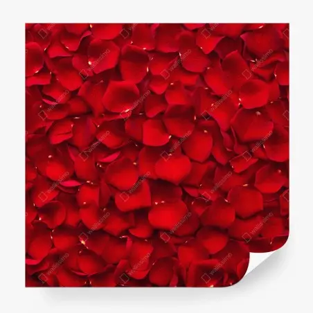 Fototapete rote rosenblätter hintergrund – Pixers®