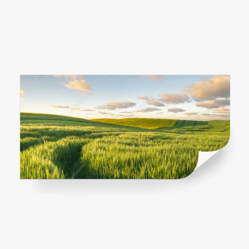 Fototapete ruhige grüne wiesen panorama