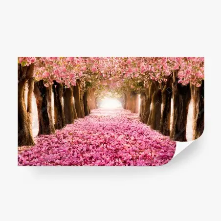 Fototapete rosa blütenallee unter kirschbäumen – Pixers®