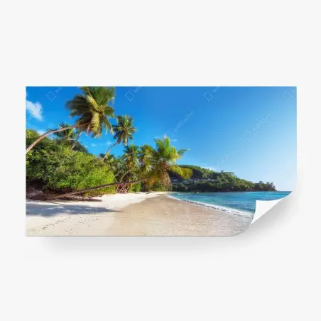 Fototapete tropischer palmstrand – Pixers®
