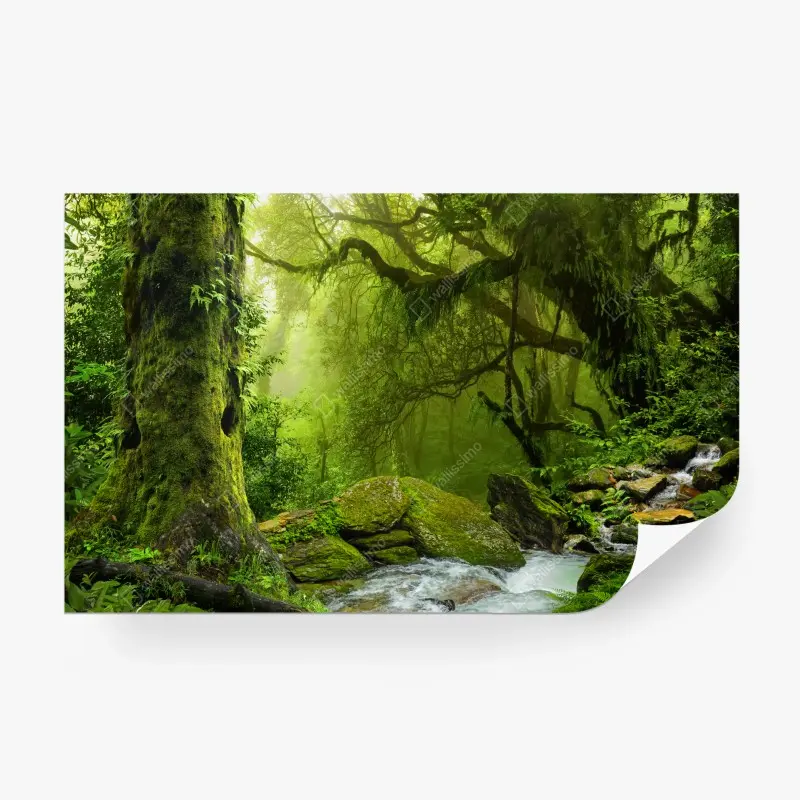 Fototapete verzauberter grüner waldbach