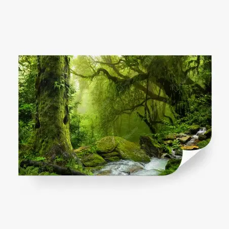 Fototapete verzauberter grüner waldbach – Pixers®
