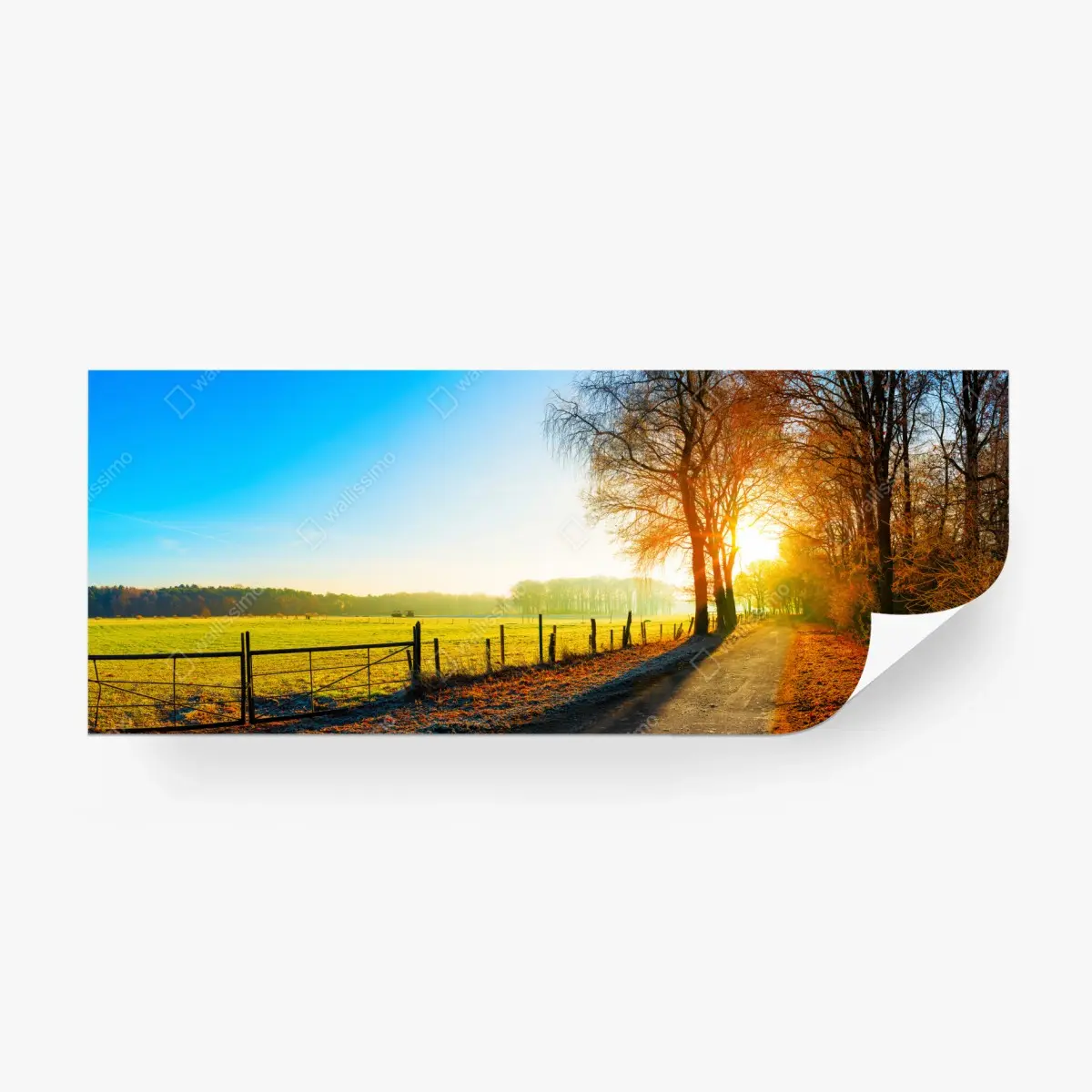 Fototapete sonnenbeschienener landweg durch herbstliche wiese – Pixers®