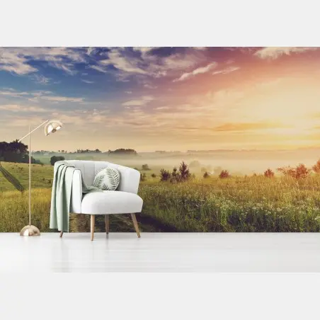 Fototapete nebeliger sonnenaufgang über einer ländlichen wiese – Pixers®