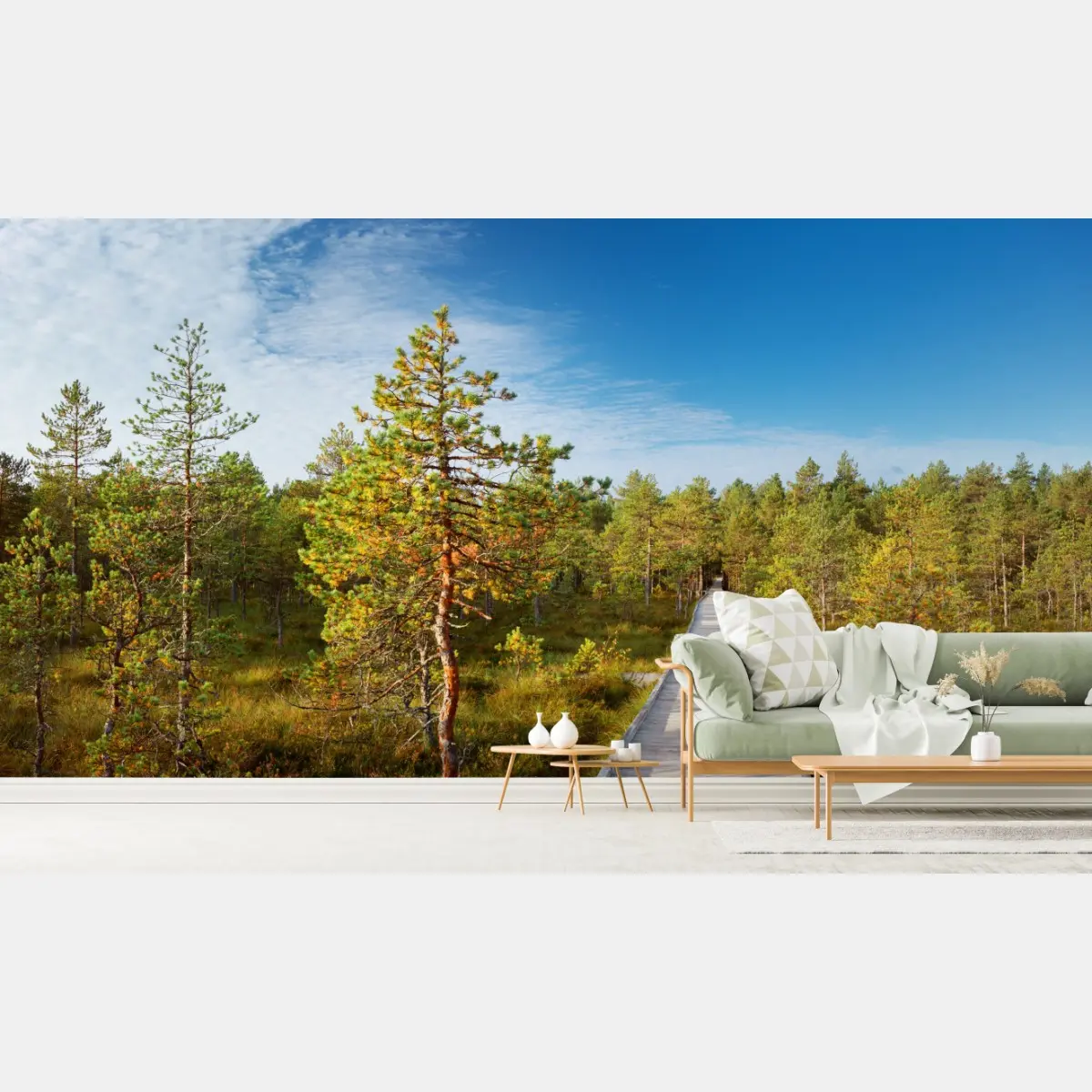 Fototapete sonniger steg durch den kiefernwald – Pixers®