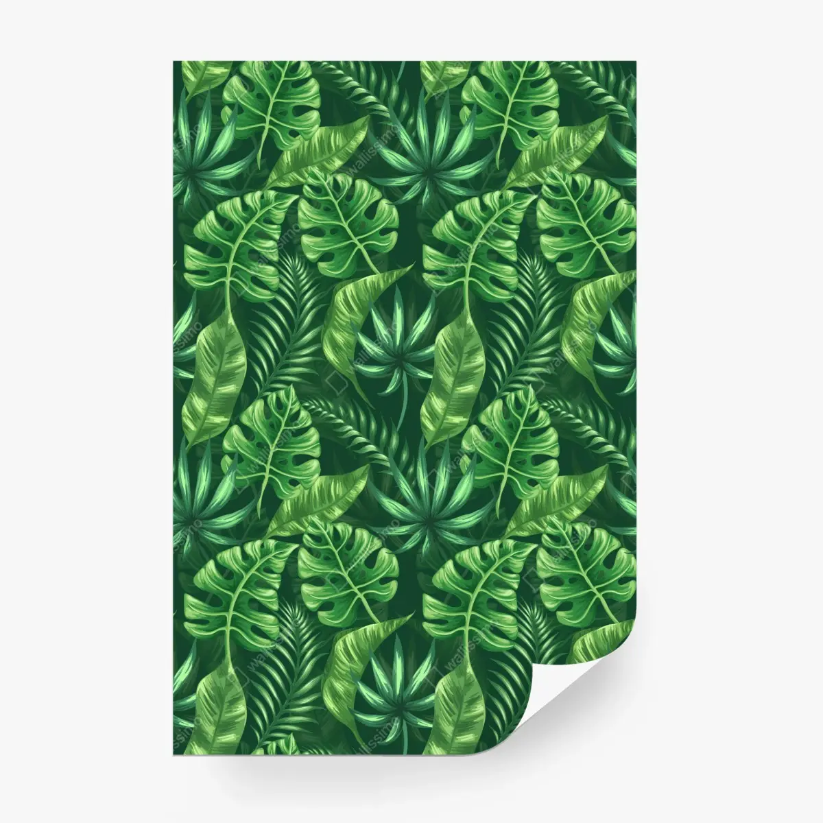 Fototapete tropisches monstera blattmuster – Pixers®