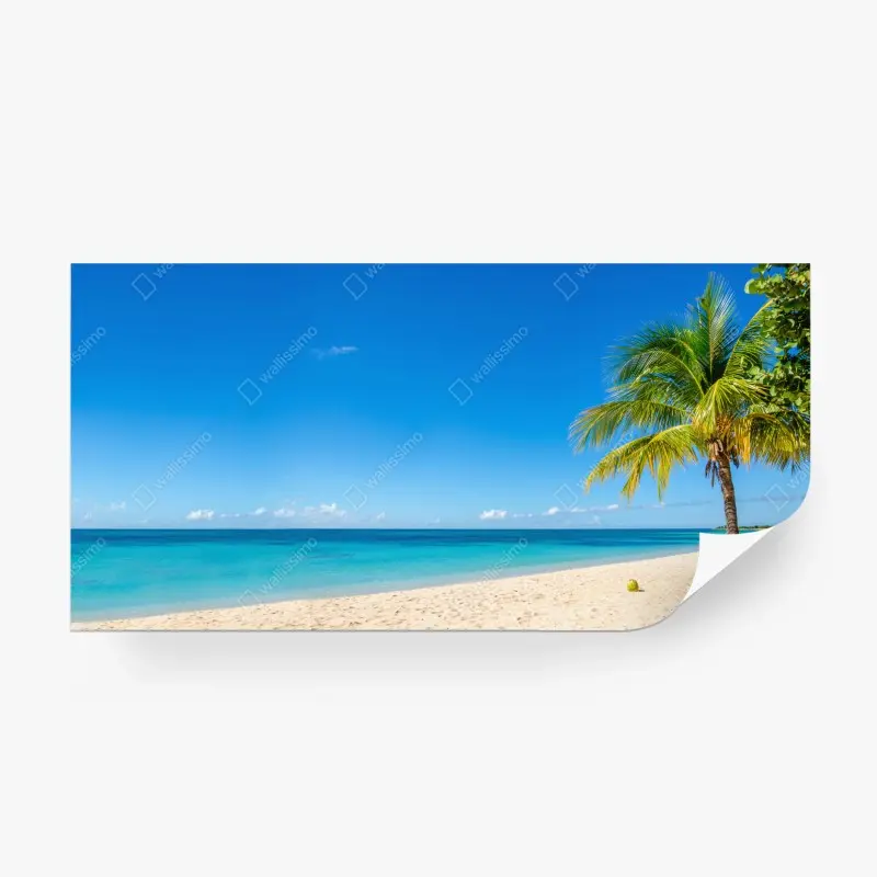 Fototapete tropischer strand mit türkiswasser und palme