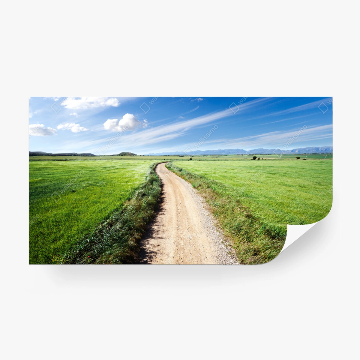 Fototapete gewundener landweg durch grüne wiesen – Pixers®
