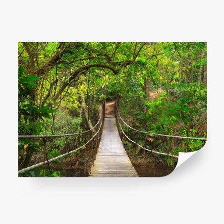 Fototapete hängende holzbrücke im grünen wald – Pixers®