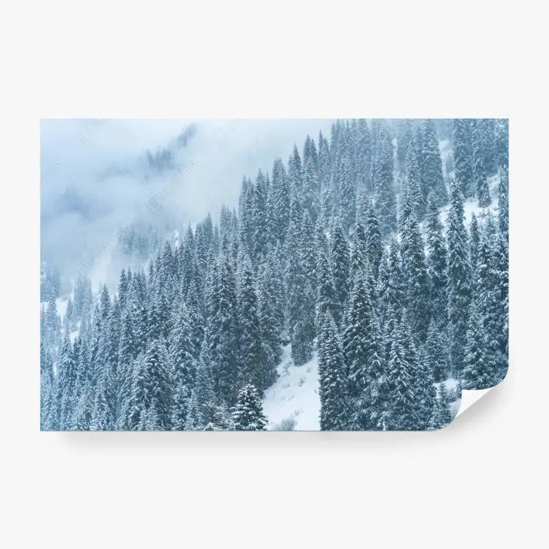 Fototapete nebeliger schneebedeckter kiefernwald