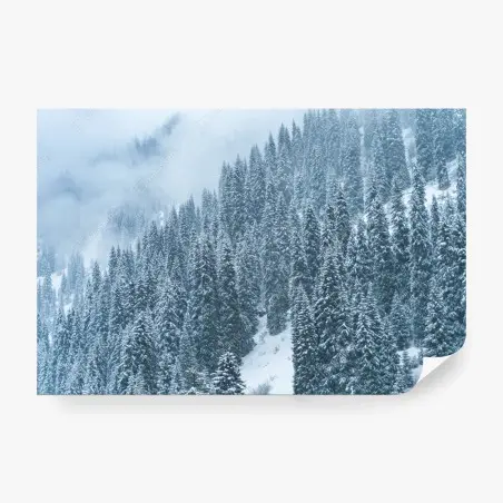 Fototapete nebeliger schneebedeckter kiefernwald – Pixers®